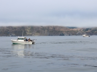 200_bodega_bay_scenery.jpg