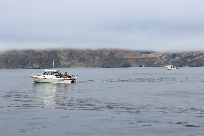 800_bodega_bay_scenery.jpg 