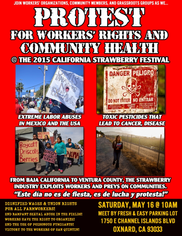 800_protest-2015-california-strawberry-festival.jpg 