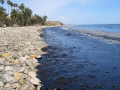 120_oil_on_beach_santa_barbara_us_coast_guard_fpwc.jpg
