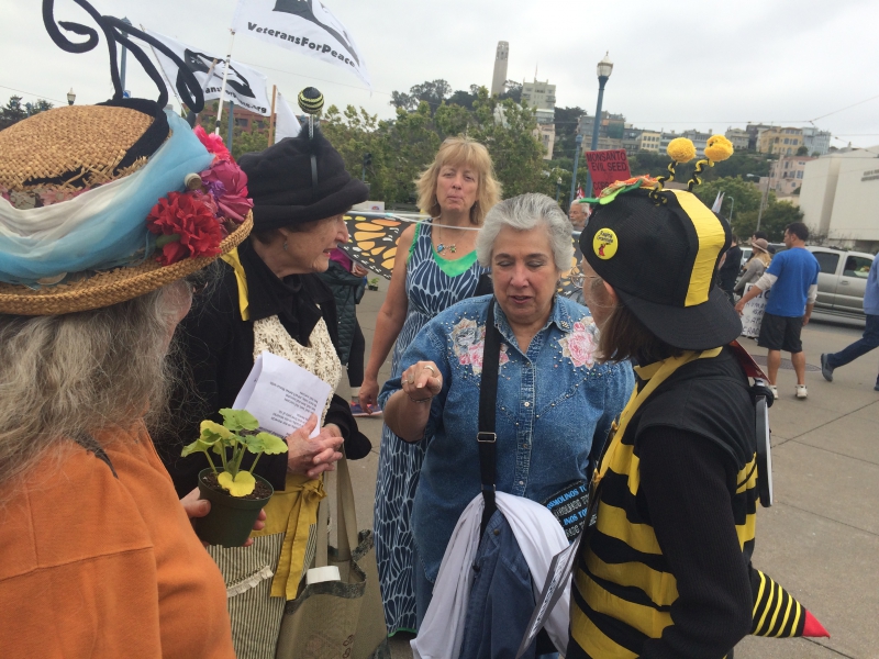 800_monsanto_grannies_with_guests_.jpg 