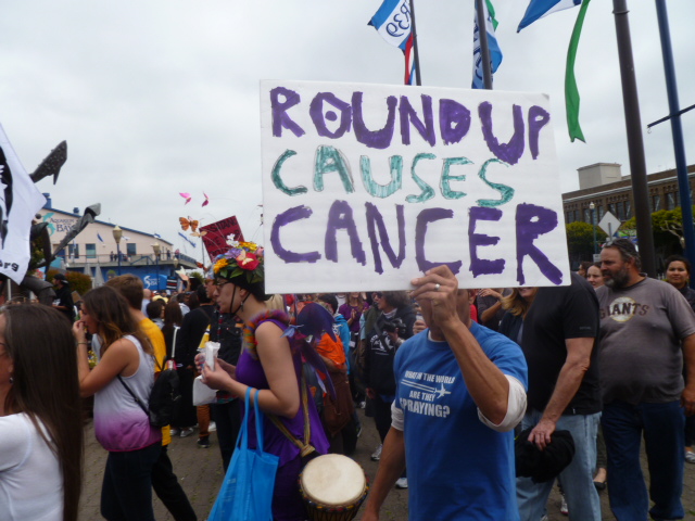 monsanto_round_up_causes_cancer.jpg 