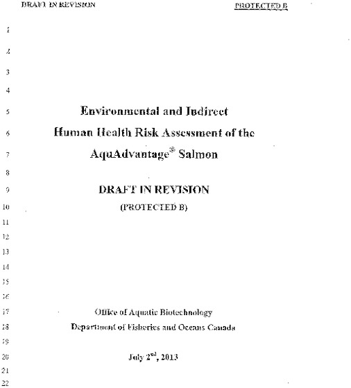 canadian-environmental-assessment-gmo-salmon.pdf_600_.jpg