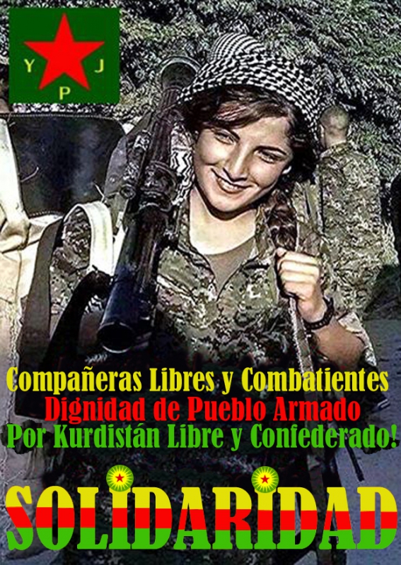 800_____kurdistan_combatiente_libertad_2015__.jpg