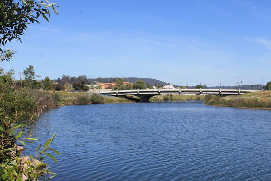 san_lorenzo_river_santa_cruz.jpg 