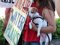200_four_legged_friend_joins_protest.jpg