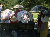 200_350sanjoseparasols.jpg