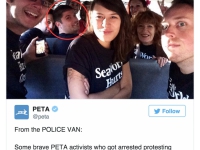 200_peta-twitter-pic-infiltrator1-856x1024.jpg