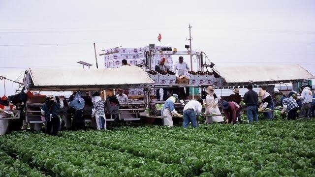 pesticides_farms_schools_california.jpg 