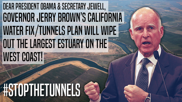 jerry_brown_1.png 