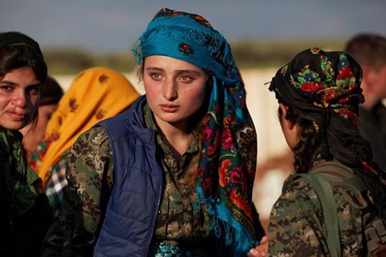 ypj.jpg