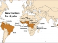 120_new_oil_palm__frontiers.jpg
