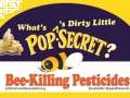 pop_secret_popcorn.png