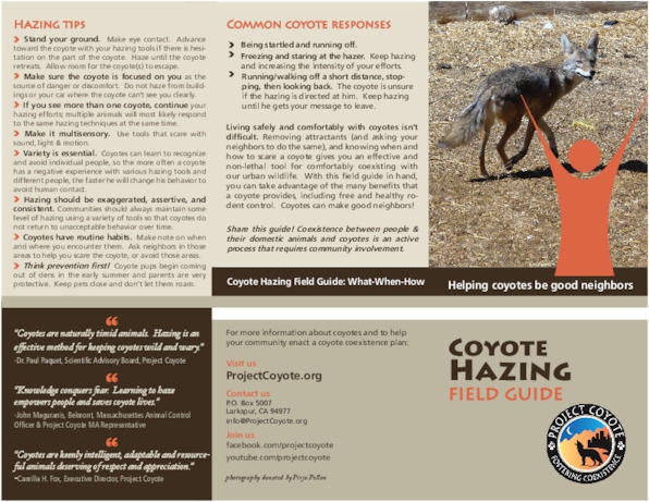 coyotehazingbrochurefieldguide.pdf_600_.jpg