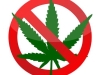 citizens-against-legalization-marijuana.jpg