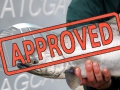 ge-fish-approved_66971.jpg