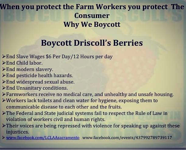 boycott_driscolls_berries.jpg