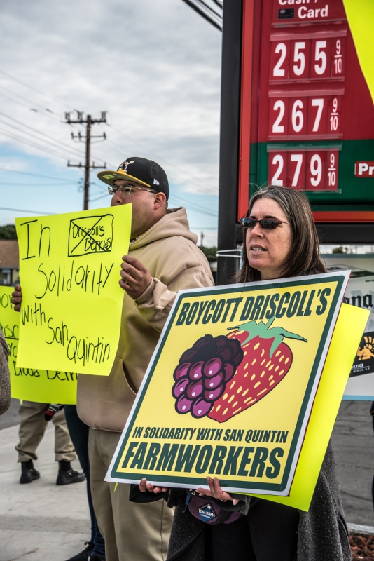 800_driscolls-berries-boycott-watsonville-3.jpg 