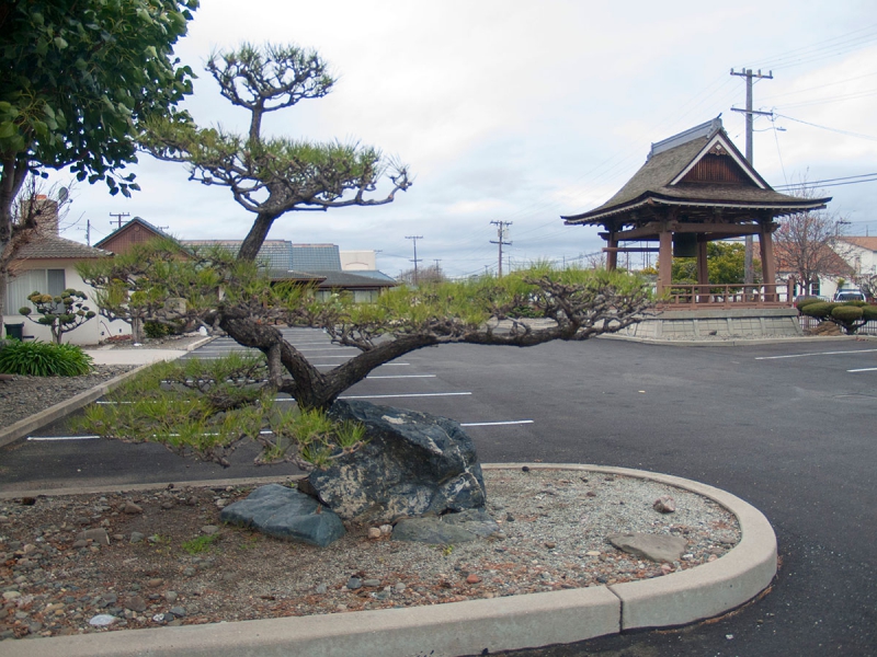 800_bell-tower-buddhist-temple_1-9-16.jpg 