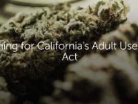 cannabis-california-auma.png