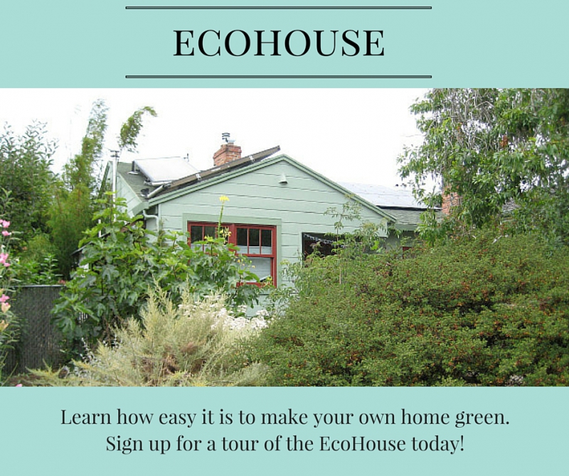 800_ecohouse_canva_edit.jpg