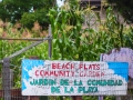 120_beach_flats_community_garden.jpg