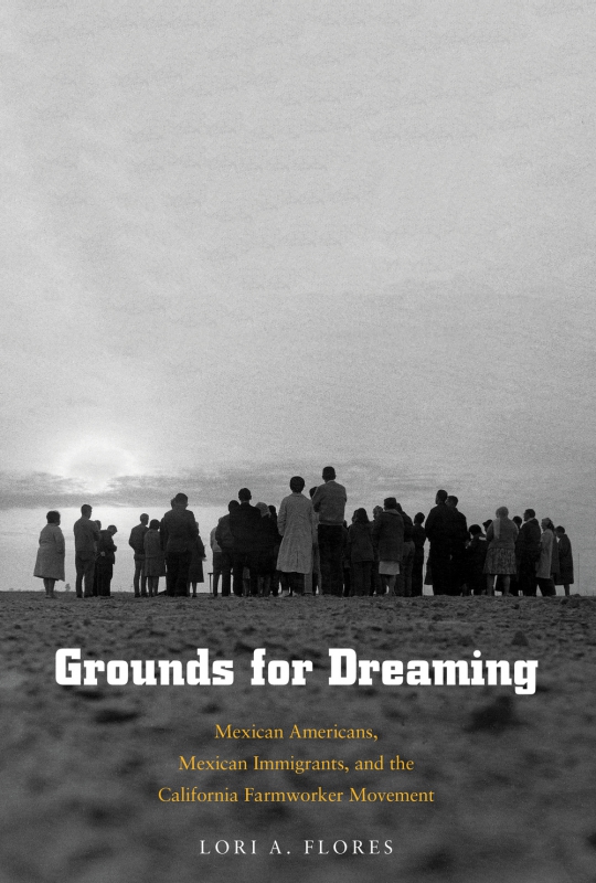 800_grounds_dreaming_2.jpg 