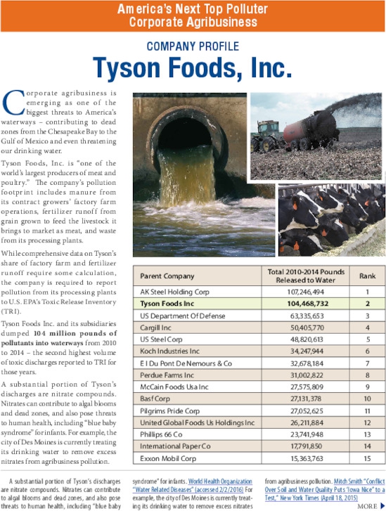 tyson-waterpollution_environmentamerica_v4_0.pdf_600_.jpg