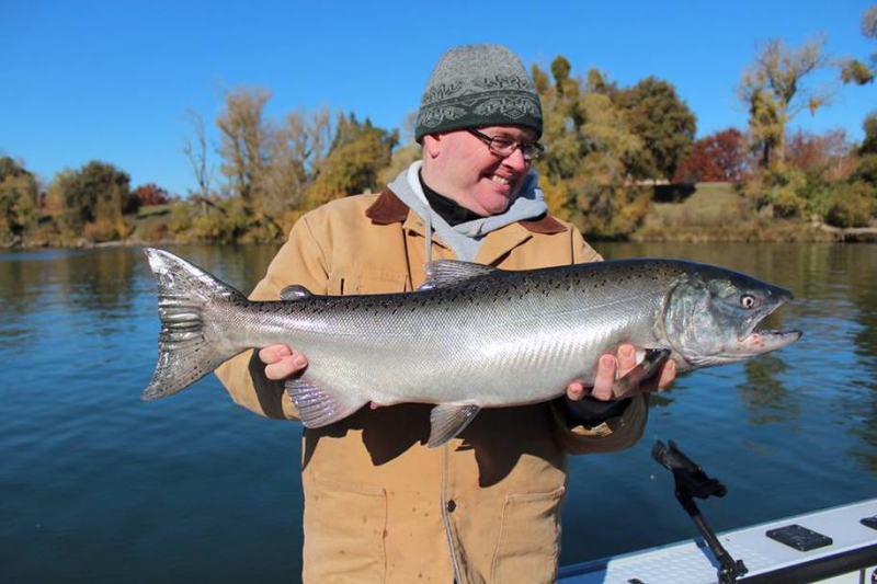 800_sacramento_river_salmon.jpg 