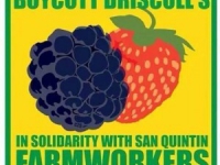 driscolls_berries_boycott.jpg