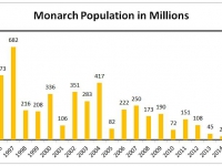 200_monarch_butterfly_population.jpg