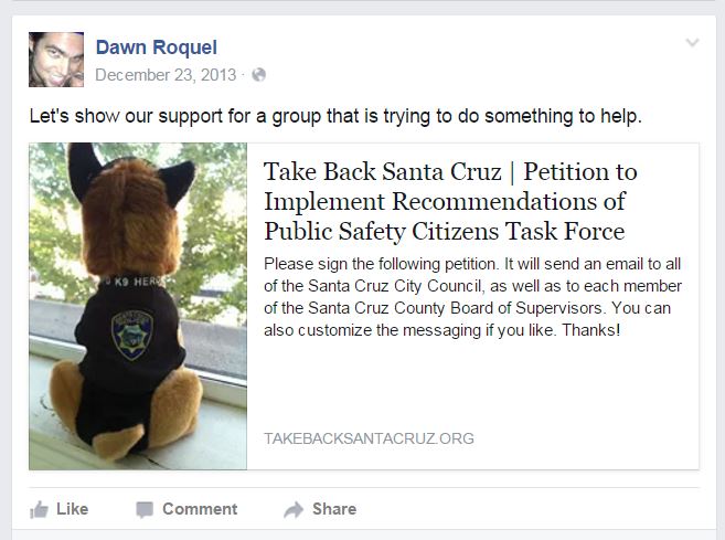 dawn_roquel_take_back_santa_cruz.jpg 