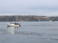 800_bodega_bay_scenery.jpg