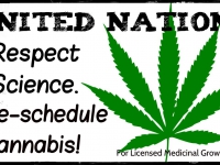 200_united-nations-reschedule-cannabis.jpg