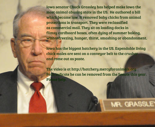 grassley1_1.jpg 