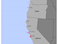 200_entangled_whales_california_2015.jpg