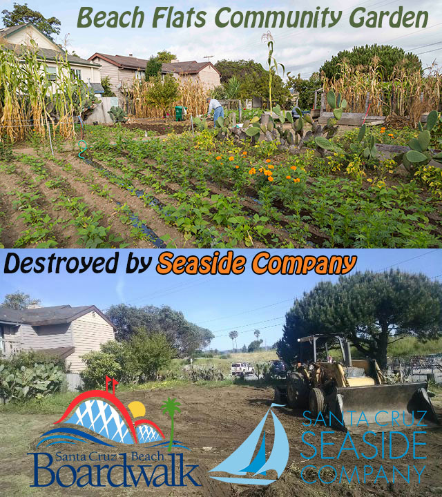beach-flats-community-garden-mar-24-2016-and-sep-2015.jpg 