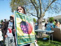 200_boycott-driscolls-watsonville_20_3-31-16.jpg
