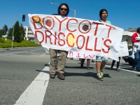 200_boycott-driscolls-watsonville_4_3-31-16.jpg