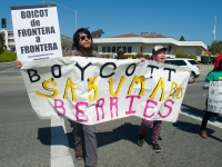 200_boycott-driscolls-watsonville_5_3-31-16.jpg