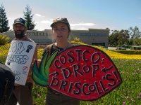 200_boycott-driscolls-watsonville_6_3-31-16.jpg