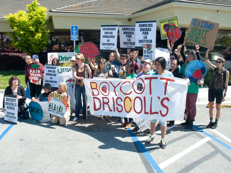 800_boycott-driscolls-watsonville_1_3-31-16.jpg 