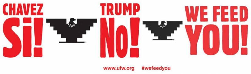 800_chavez_si_trump_no_united_farm_workers.jpg 