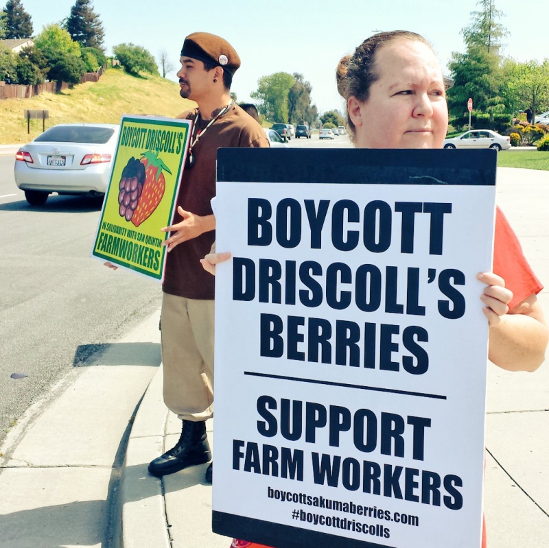 800_boycott-driscolls-watsonville_2_4-2-16.jpg 