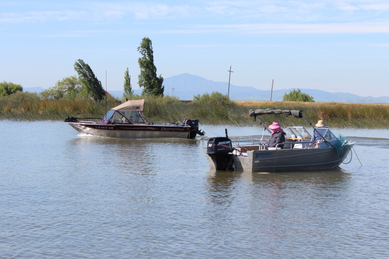 800_fishing_boats_on_san_joaquin.jpg