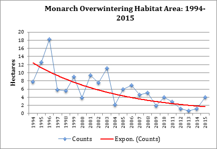 monarch_overwintering_habitat.jpg 