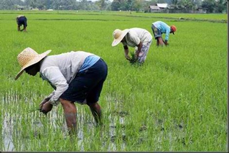 2016-philippines-farmers-land-reform.jpg 