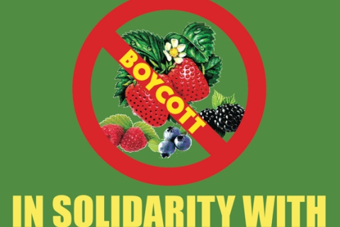 480_boycott_logo3_1.jpg