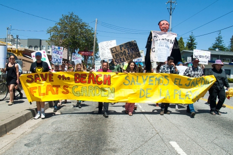 480_beach-garden-boycott-driscolls_6_5-1-16.jpg