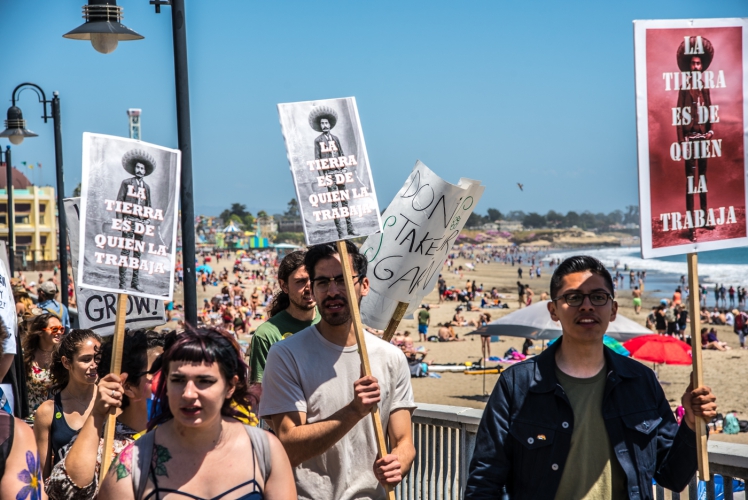 sm_may-day-santa-cruz-23-main-beach.jpg 